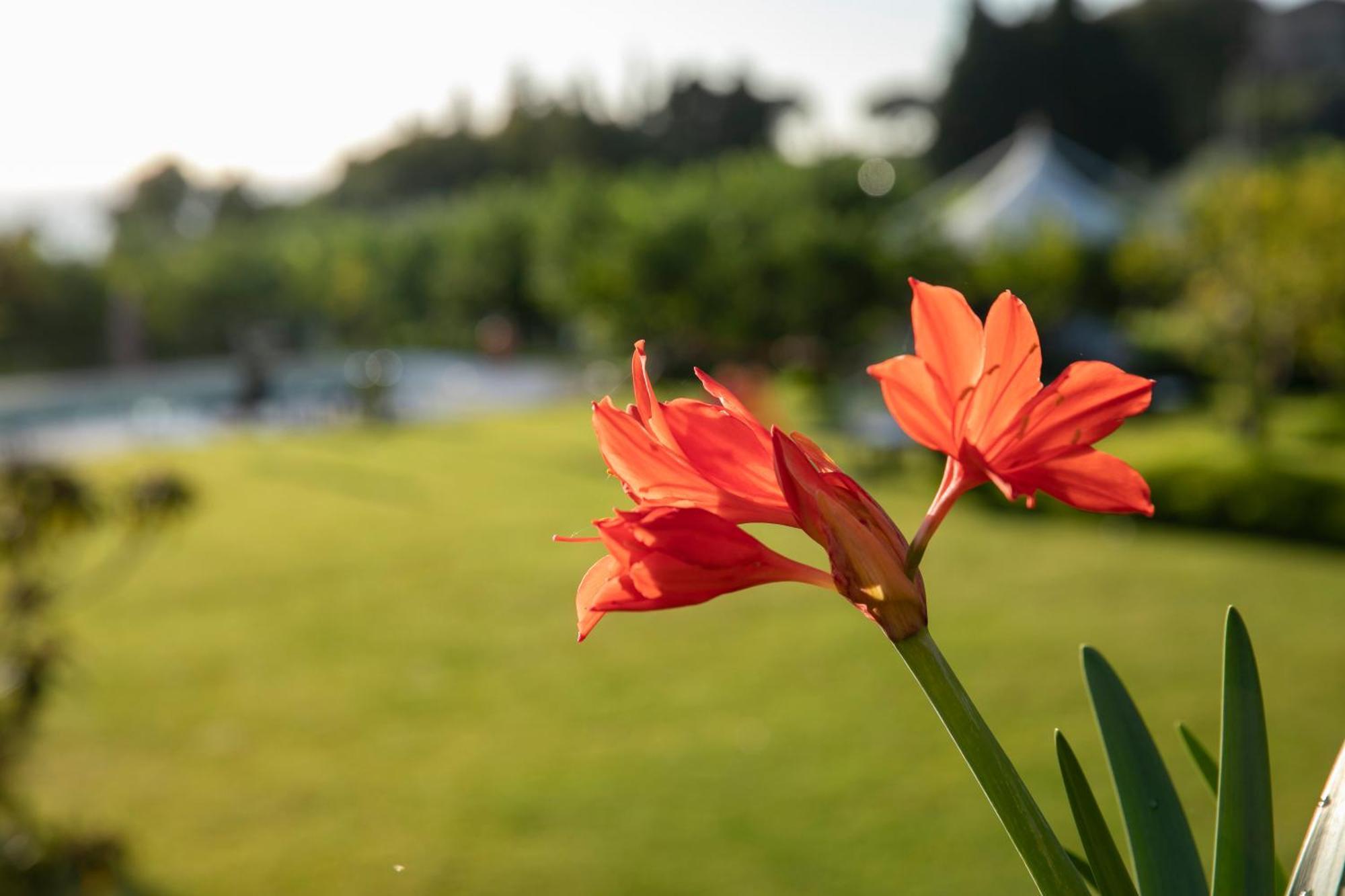 Agriturismo San Leonardello ภายนอก รูปภาพ