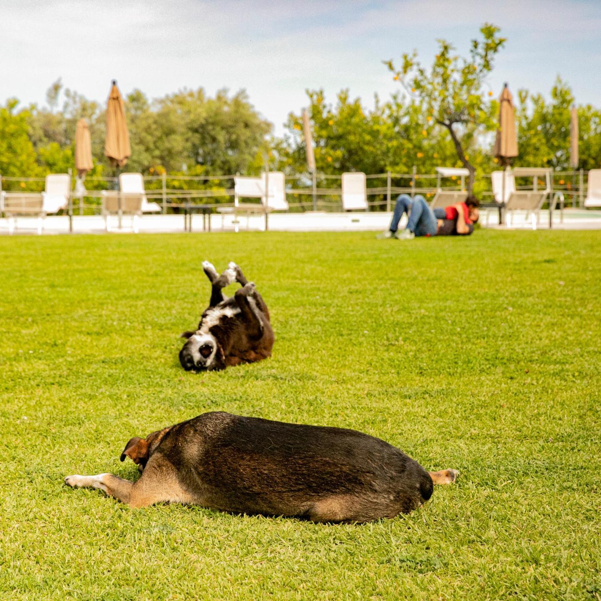 Agriturismo San Leonardello ภายนอก รูปภาพ